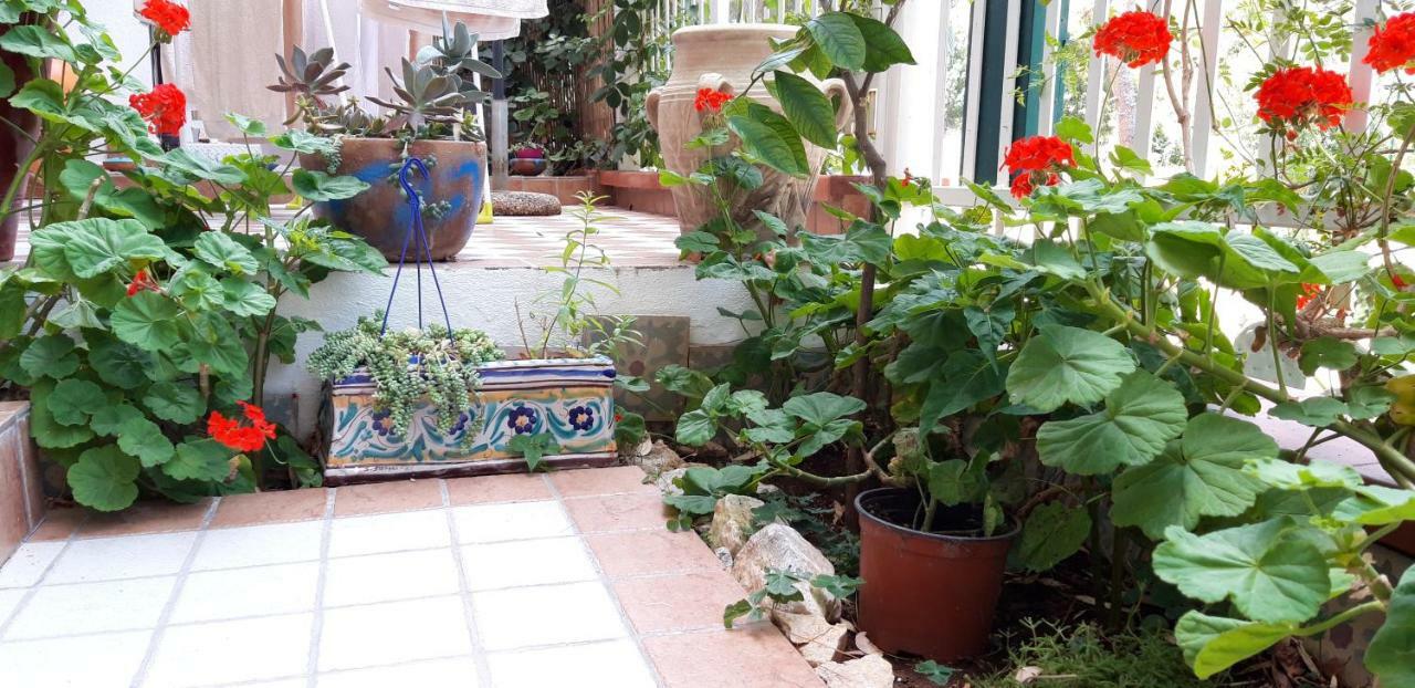 Casa Perciata - Locazione Turistica Apartment Мондело Екстериор снимка